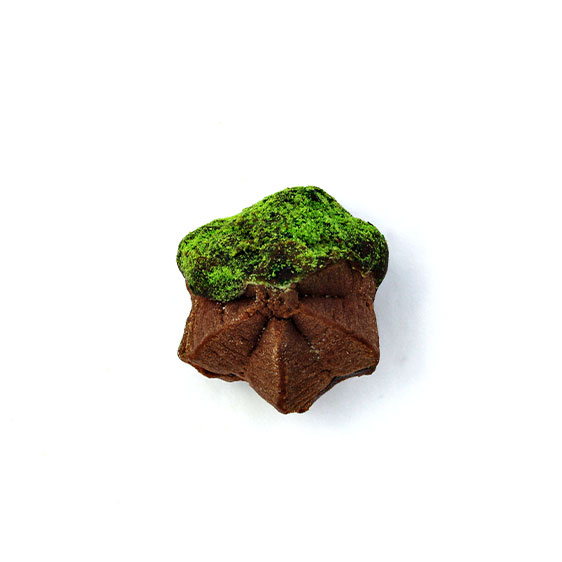 Islak Yıldız Kakaolu Yeşil Fıstıklı Kurabiye